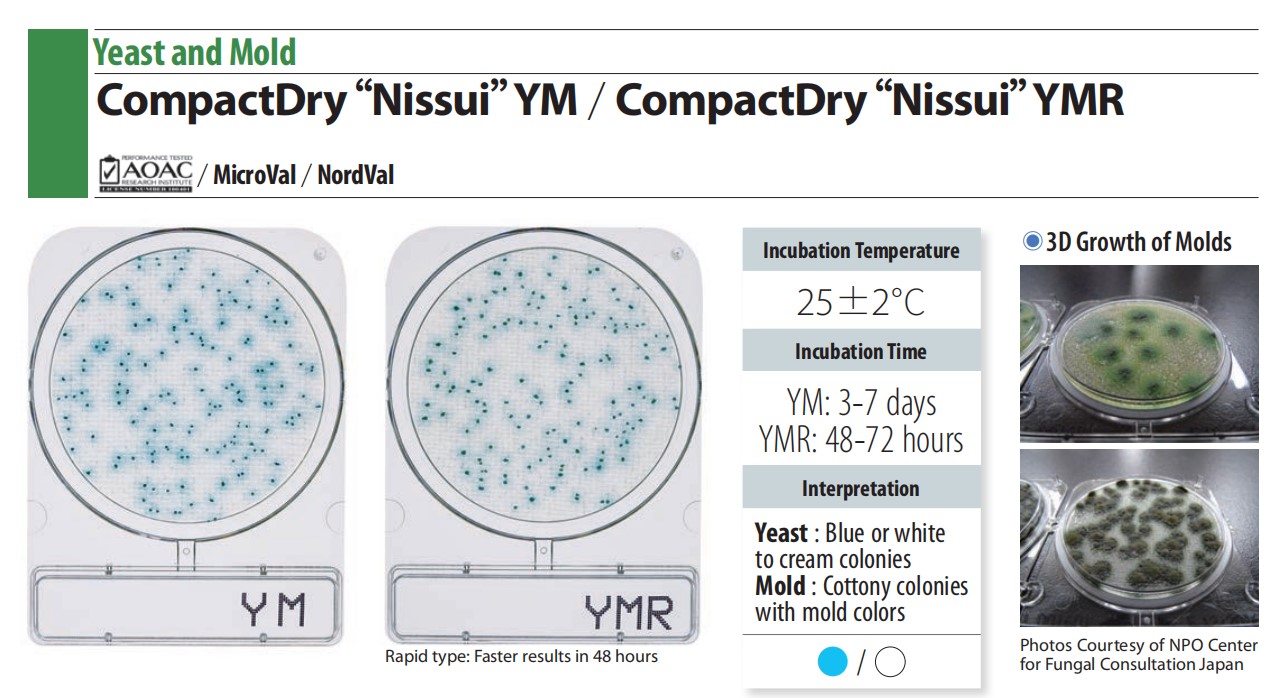 g84yyeast mold.jpg